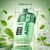 Fresh Mint
