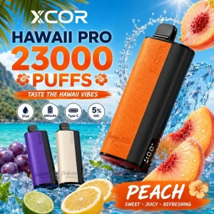 Xcor Hawaii Pro 23000 Puffs